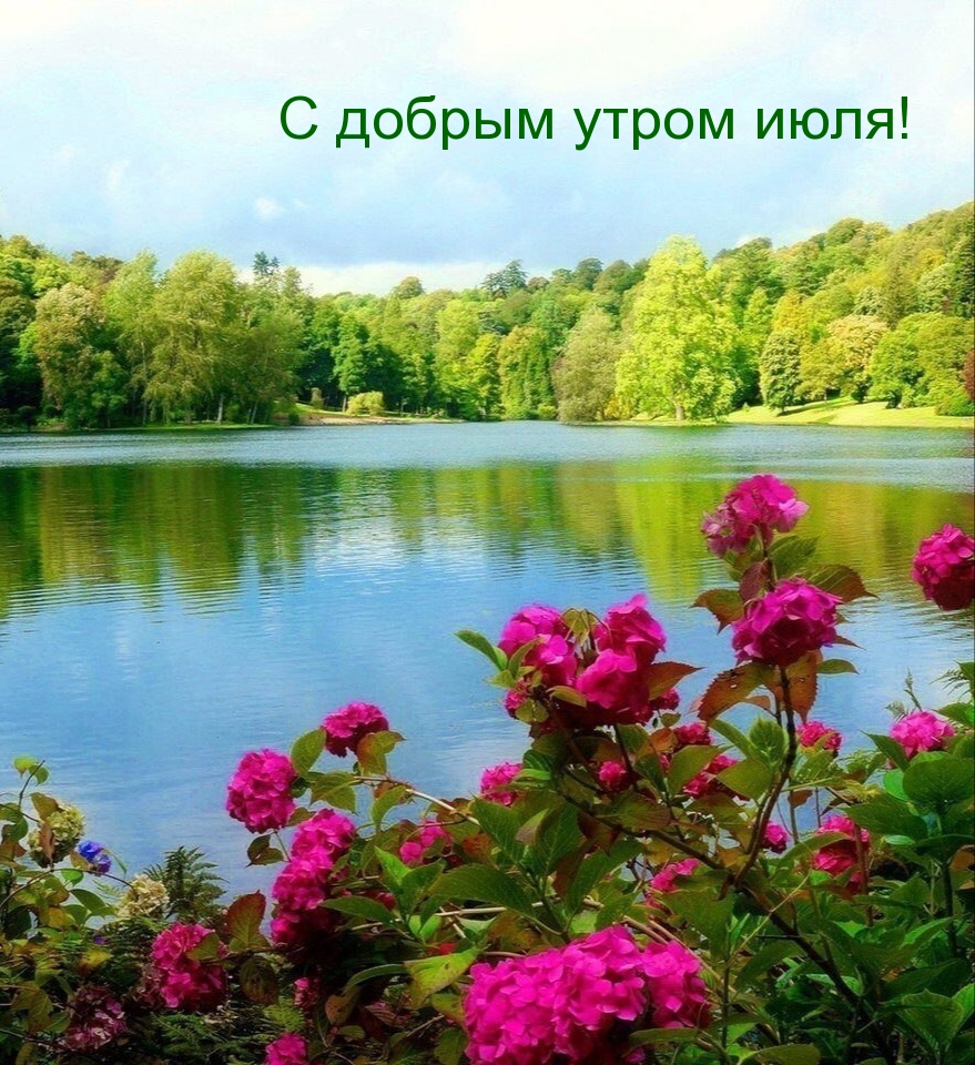 С добрым утром июля!