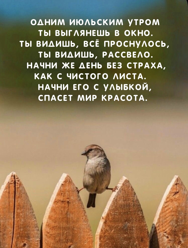 Одним июльским утром Ты выглянешь в окно.