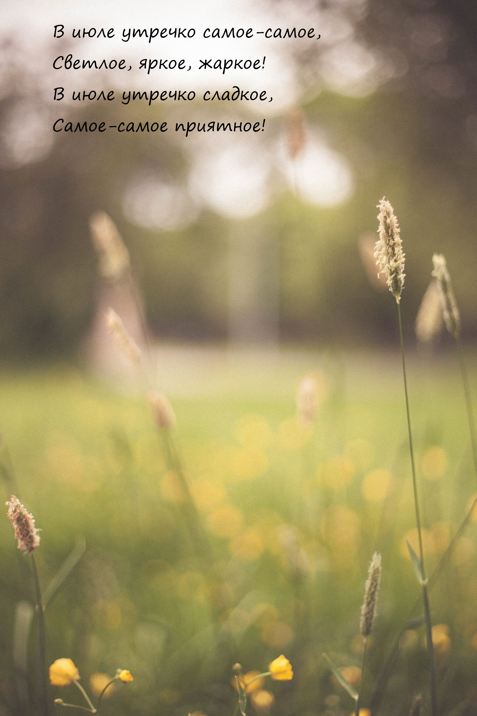 В июле утречко самое-самое, светлое, яркое, жаркое!