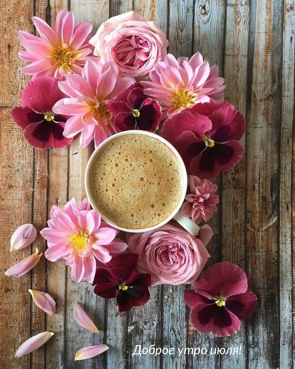 Доброе утро июля!