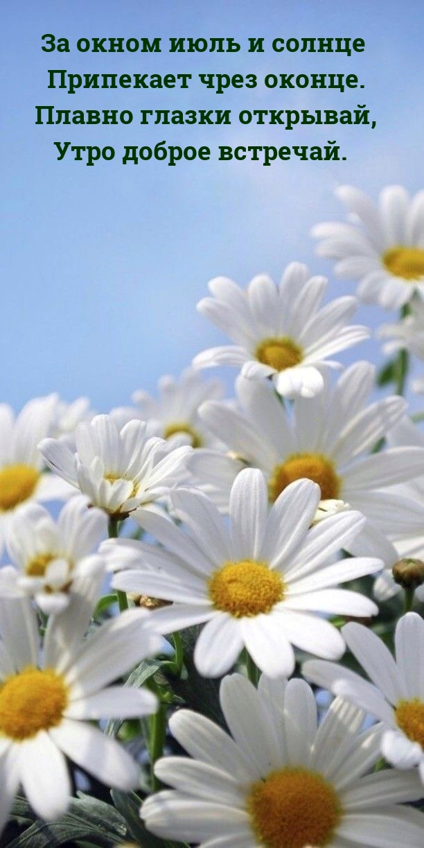 За окном июль и солнце припекает чрез оконце.