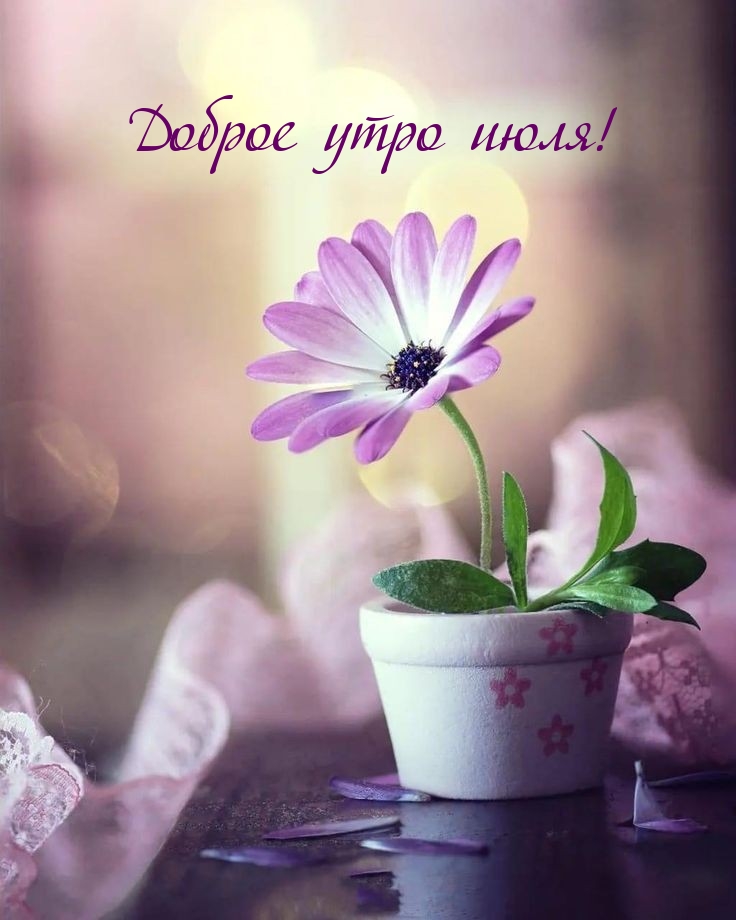 Доброе утро июля!