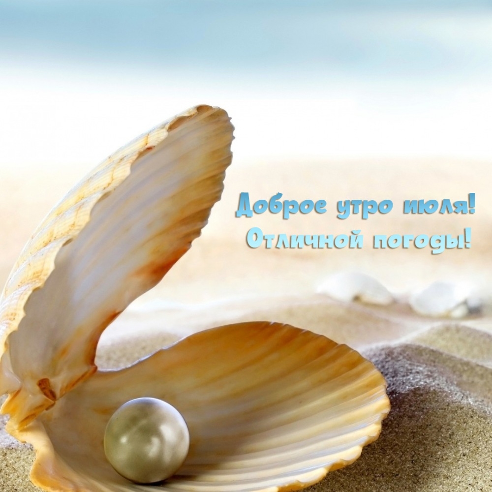 Доброе утро июля! Отличной погоды!