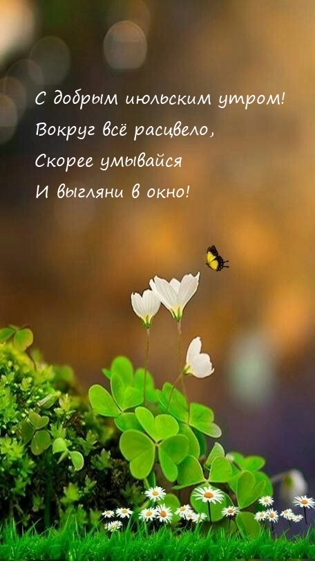 С добрым июльским утром! Вокруг всё расцвело