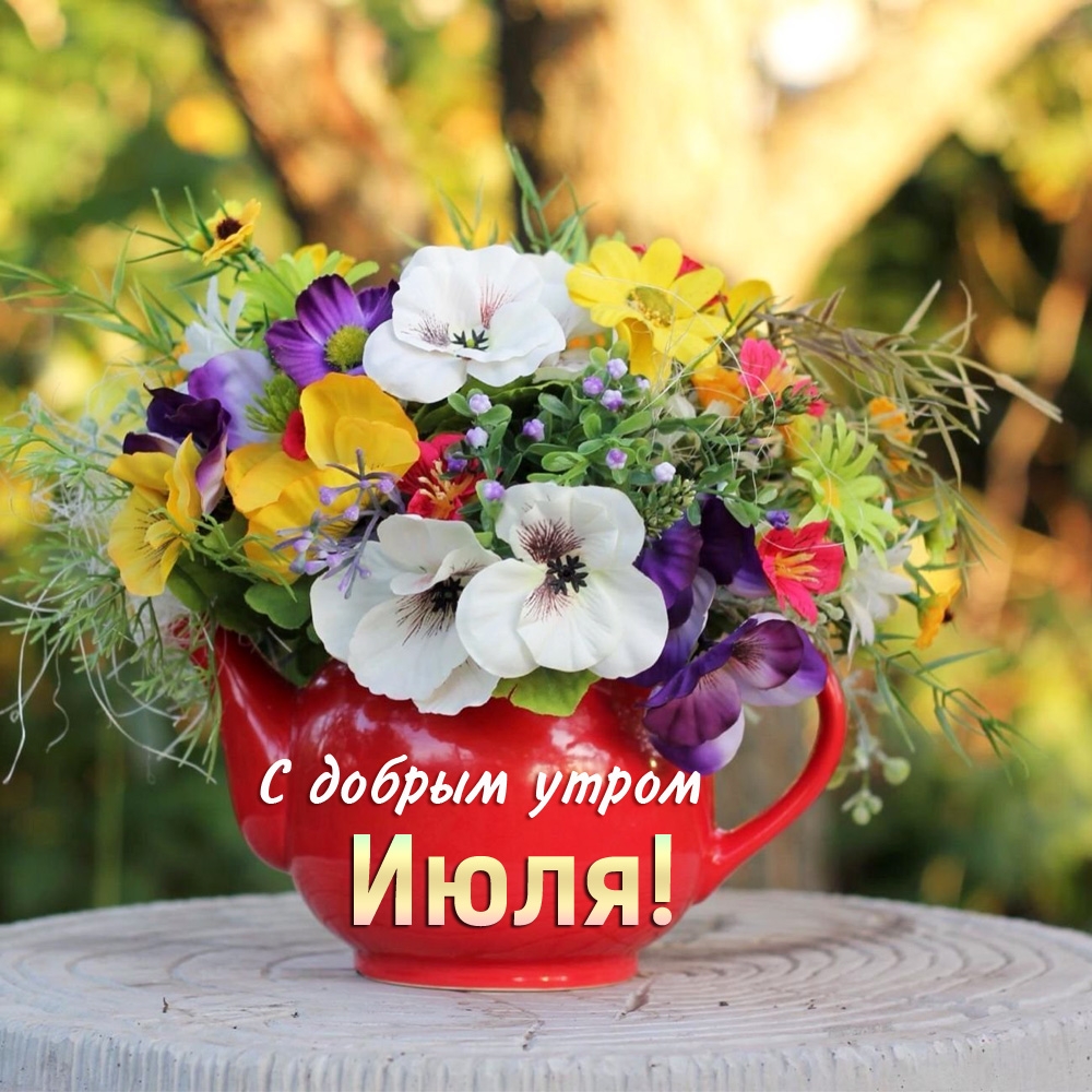 С добрым утром Июля!