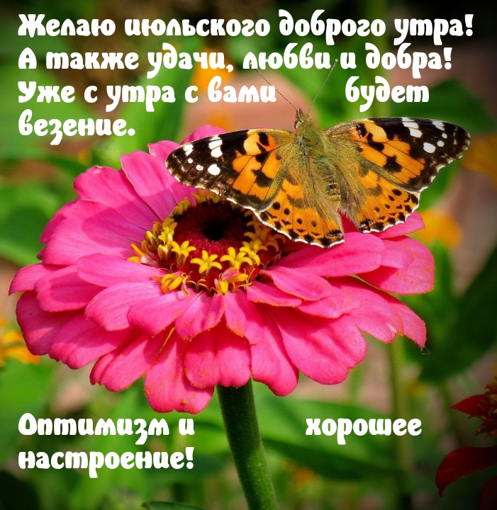 Желаю июльского доброго утра! А также удачи, любви и добра!