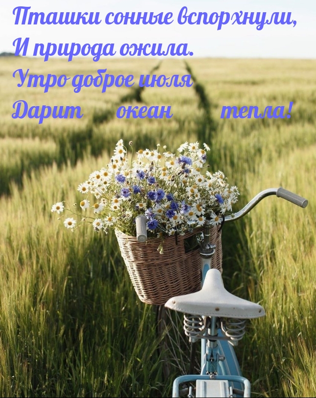 Утро доброе июля Дарит океан тепла!