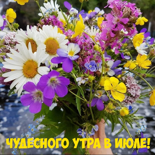 Чудесного утра в июле!