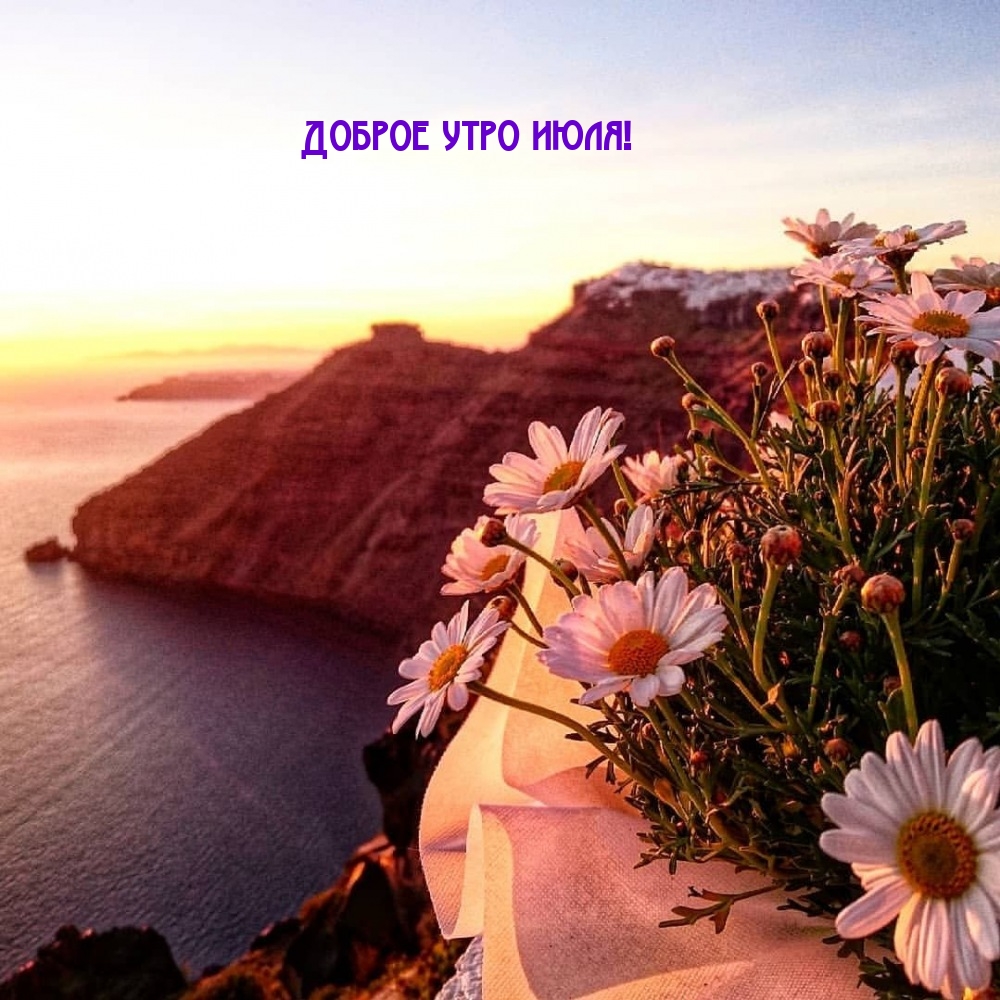 Доброе утро июля!