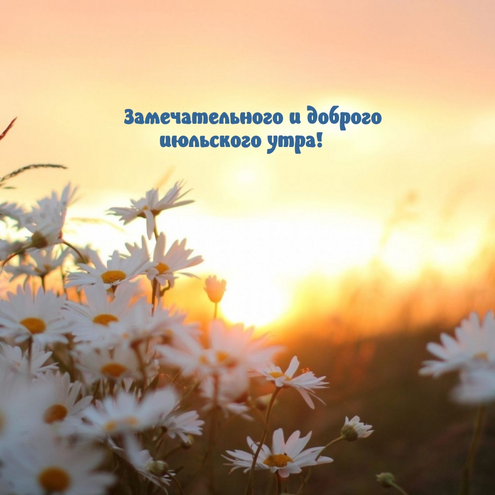 Замечательного и доброго июльского утра!