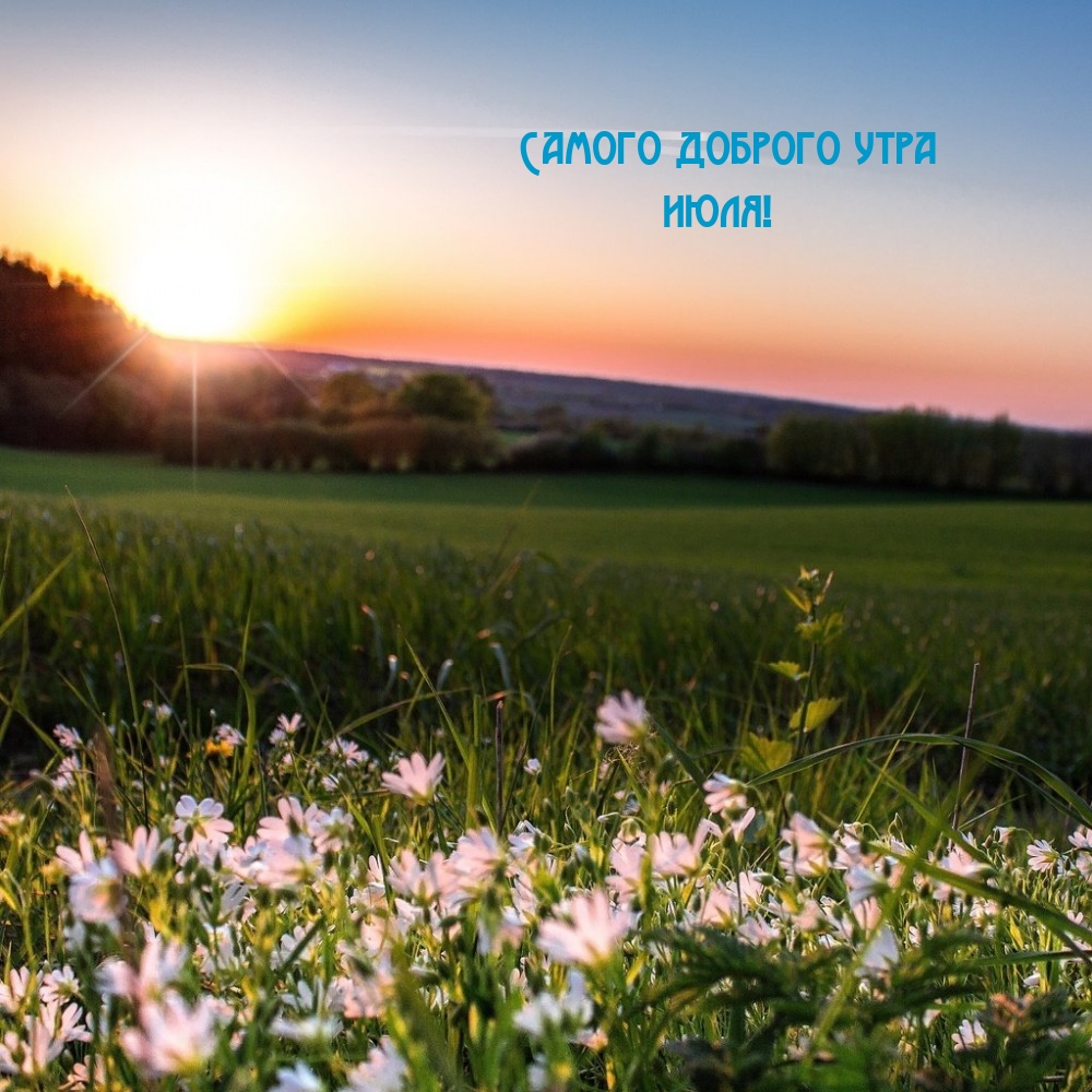 Самого доброго утра июля!