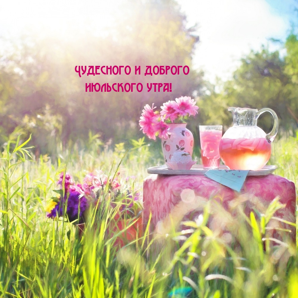 Чудесного и доброго июльского утра!