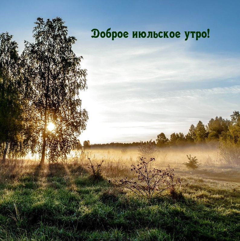 Доброе июльское утро!