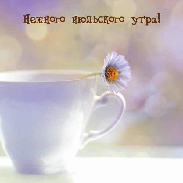 Нежного июльского утра!