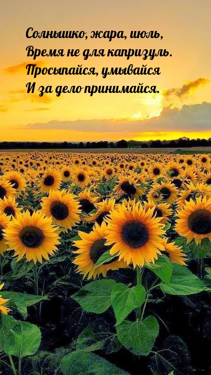 Солнышко, жара, июль, Время не для капризуль.