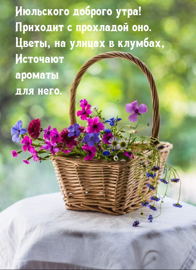 Июльского доброго утра! Приходит с прохладой оно.