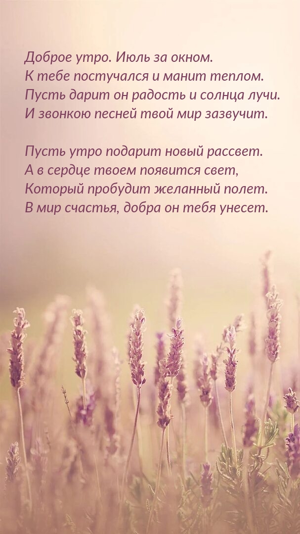 Доброе утро. Июль за окном. К тебе постучался и манит теплом.