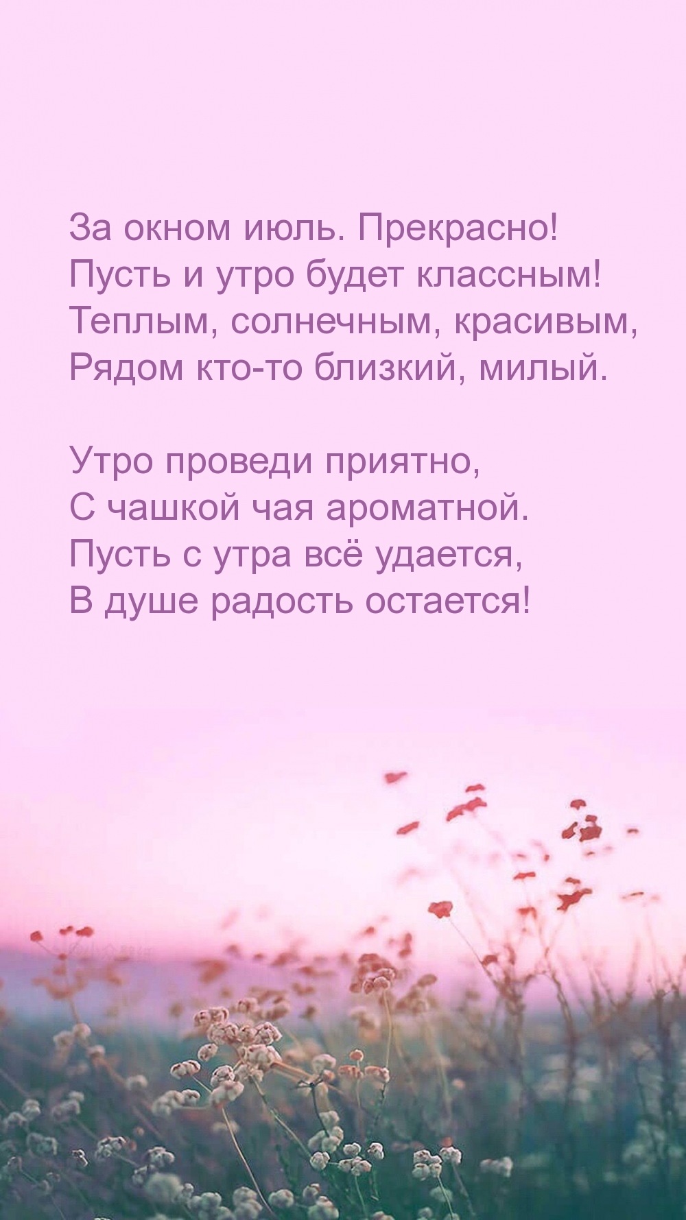 За окном июль. Прекрасно! Пусть и утро будет классным!