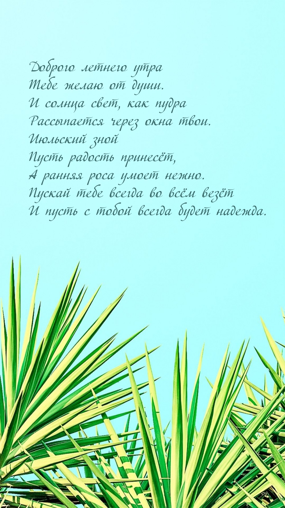 Доброго летнего утра Тебе желаю от души.