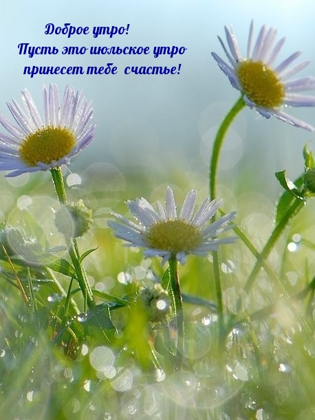 Доброе утро! Пусть это июльское утро принесет тебе счастье!