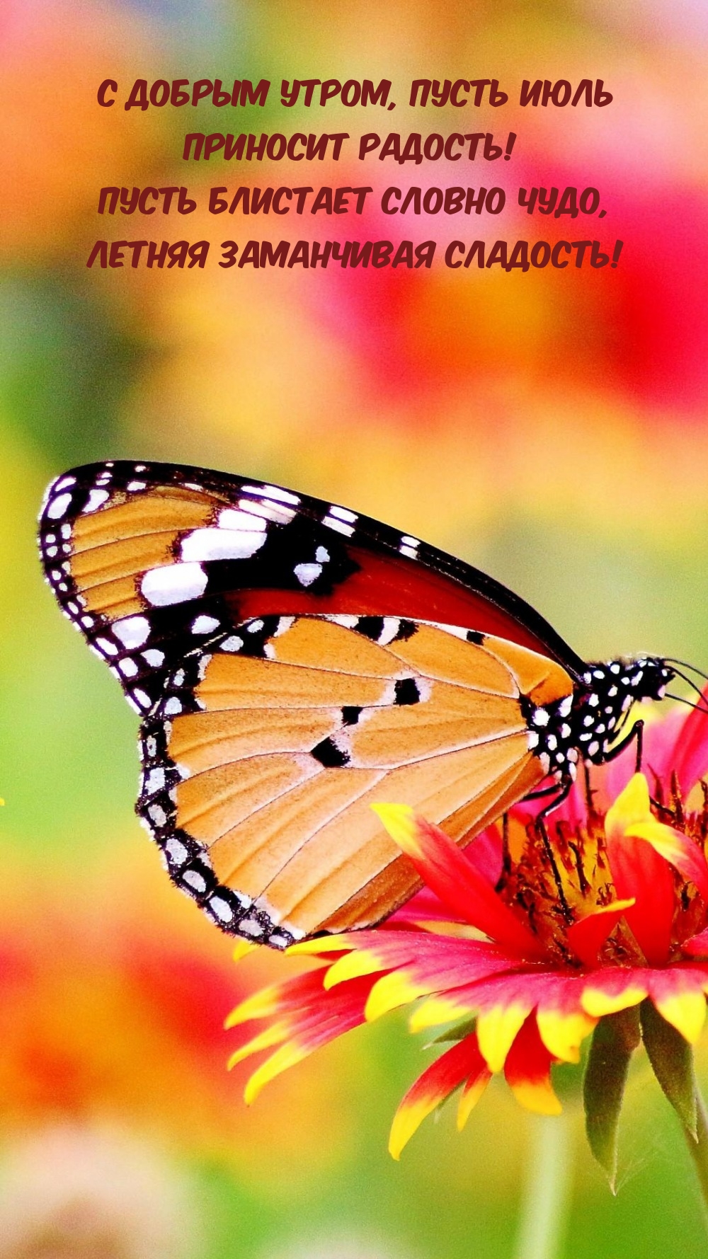 С добрым утром, пусть июль приносит радость!