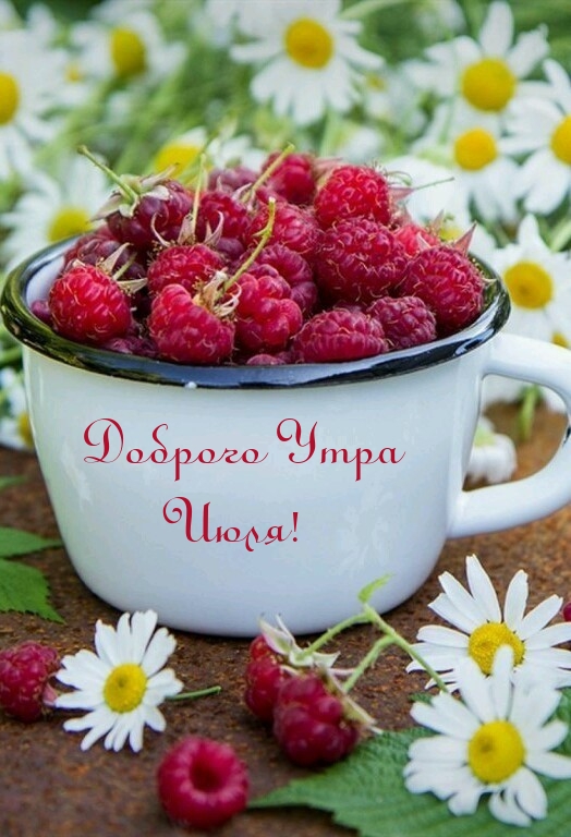 Доброго Утра Июля!