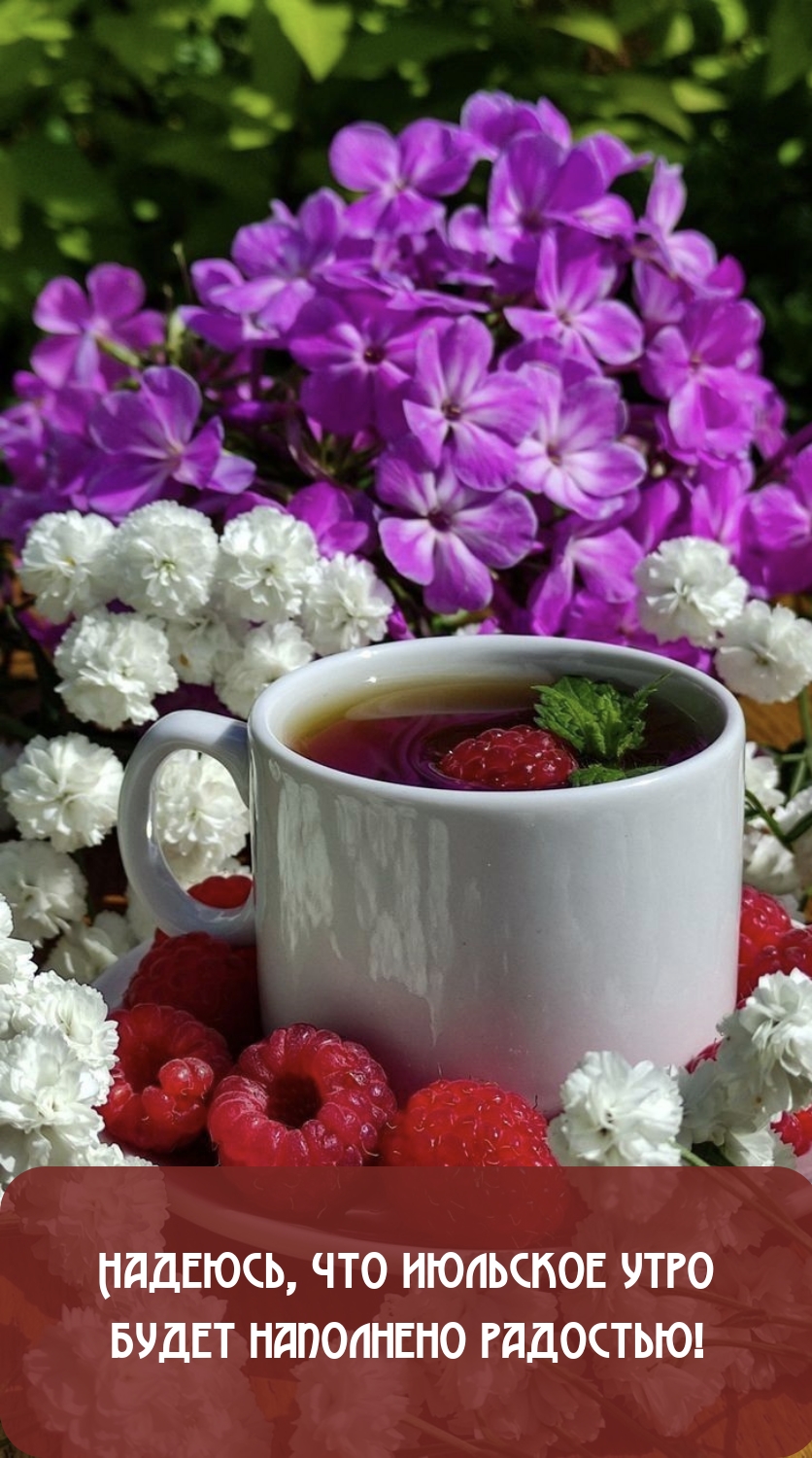 Надеюсь, что июльское утро будет наполнено радостью!