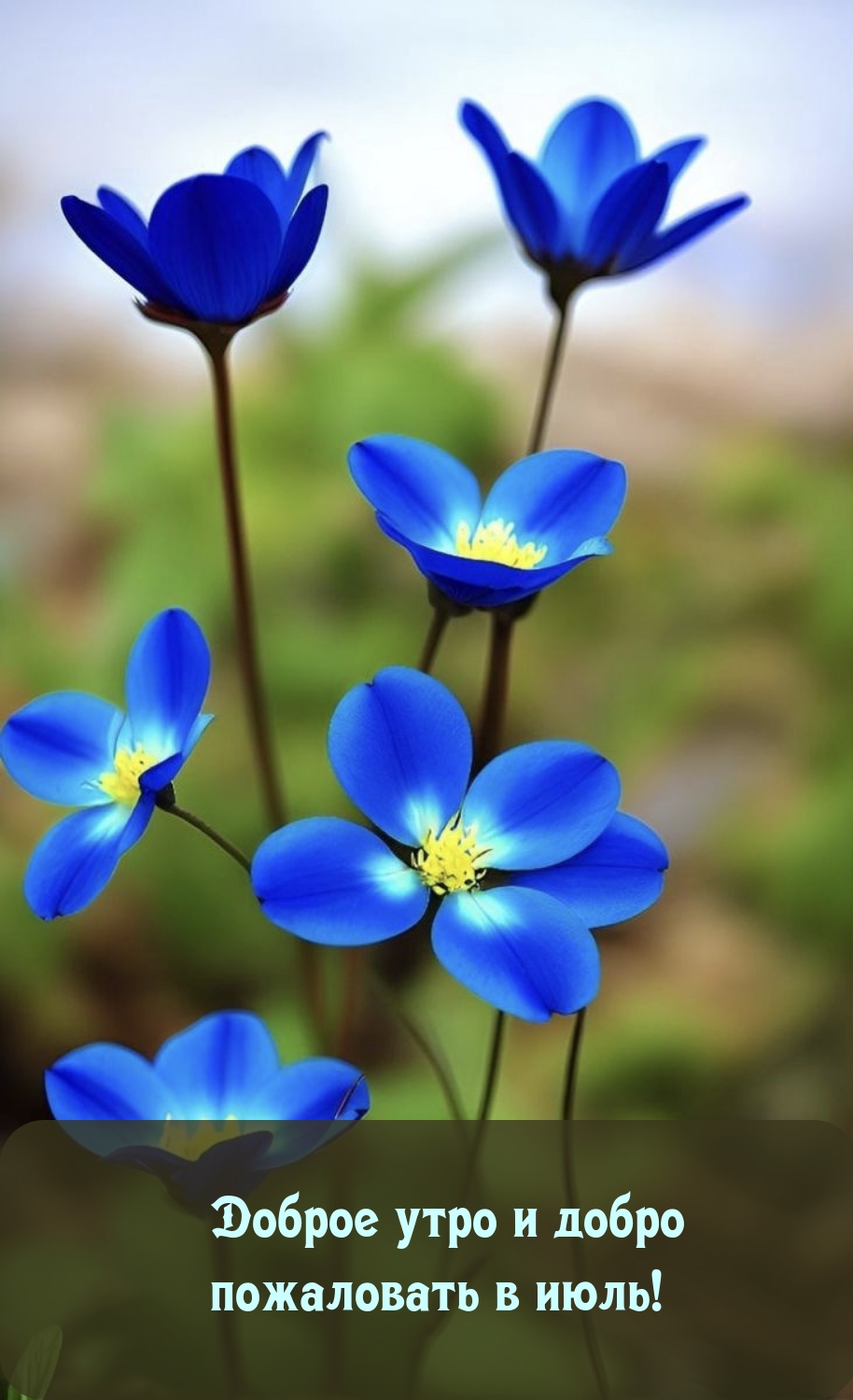 Доброе утро и добро пожаловать в июль!