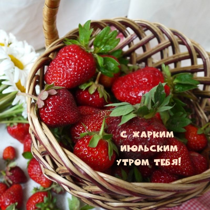 С жарким июльским утром тебя!
