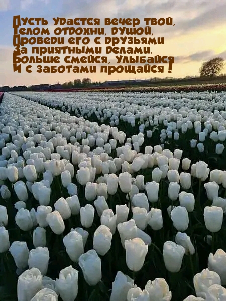 Пусть удастся вечер твой, телом отдохни, душой