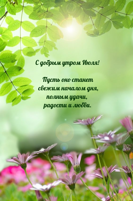 С добрым утром Июля! Пусть оно станет свежим началом дня