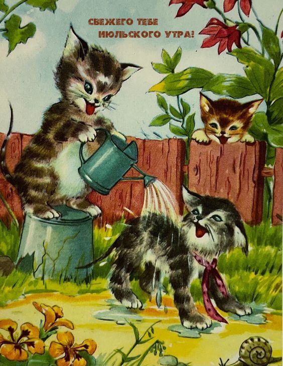 Свежего тебе Июльского Утра!