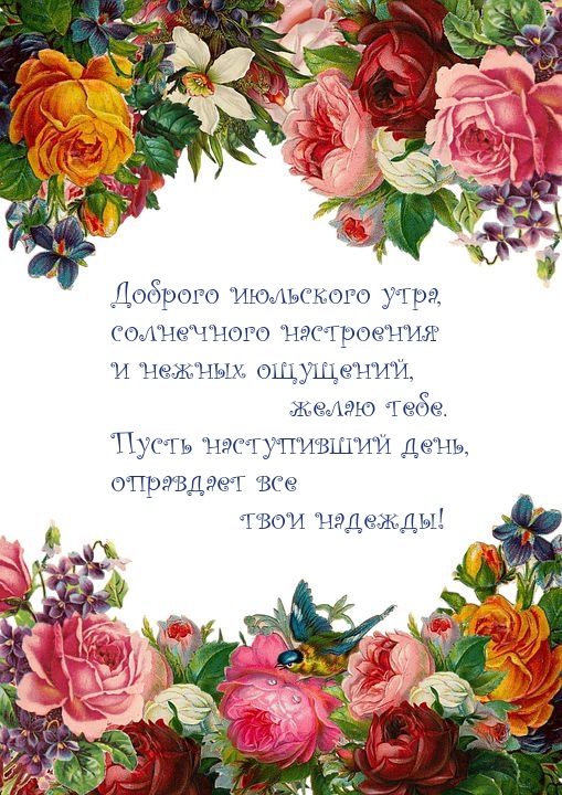 Доброго июльского утра, солнечного настроения 