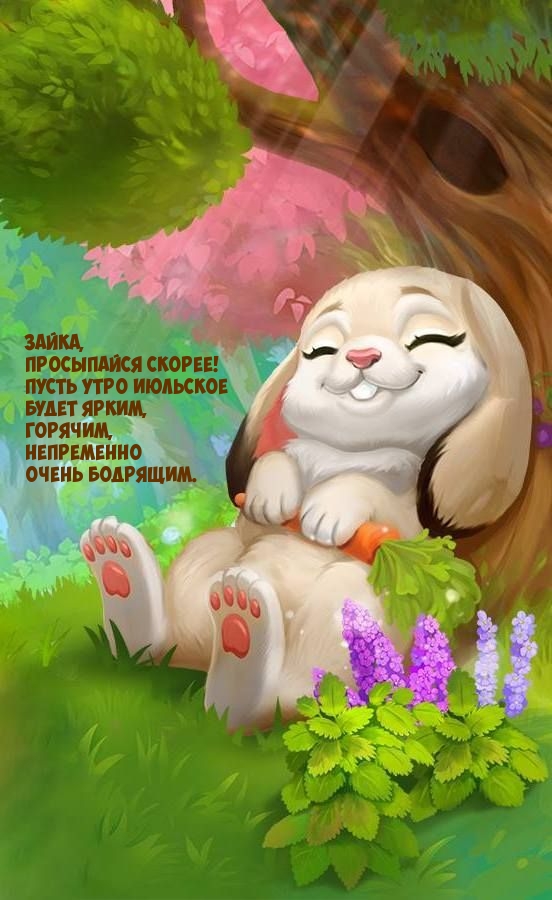 Зайка, просыпайся скорее! Пусть утро июльское будет ярким