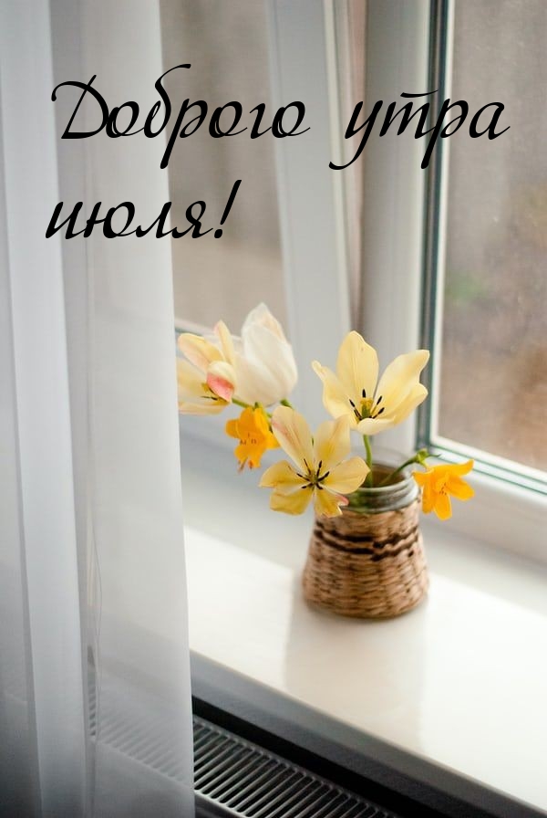 Доброго утра июля!