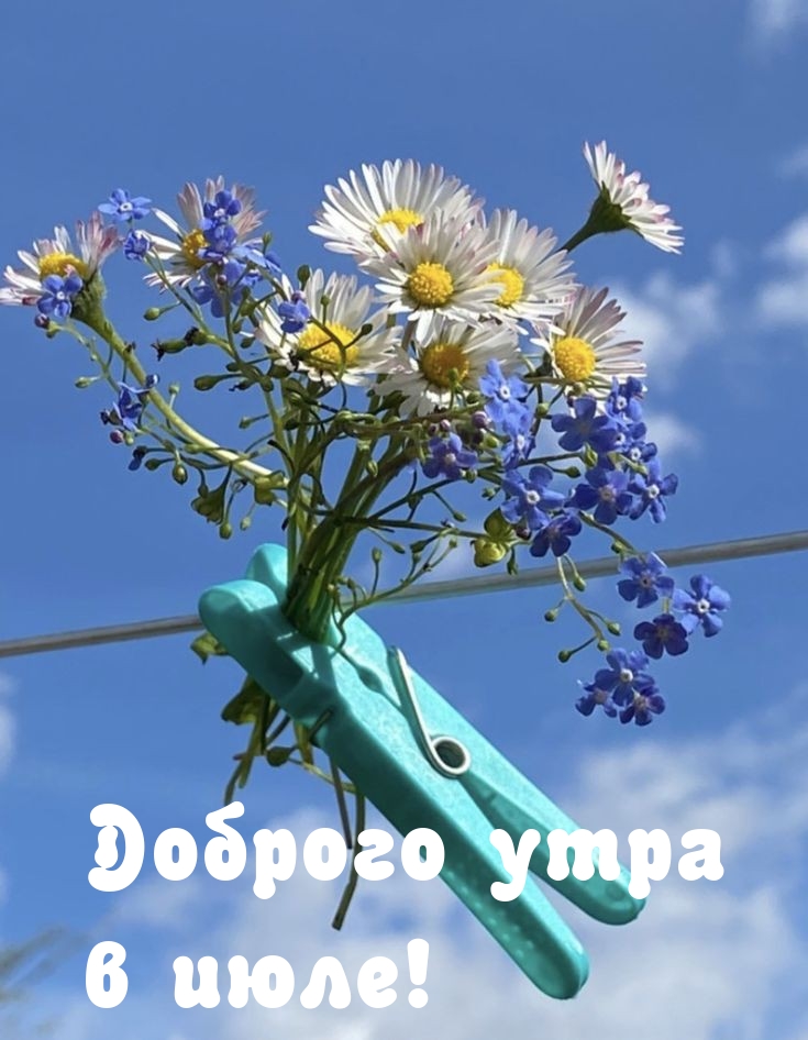 Доброго утра в июле!