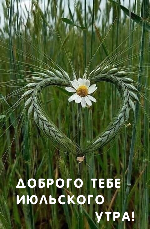 Доброго тебе июльского утра! 