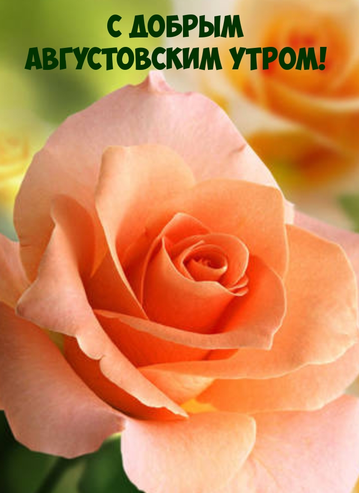 С добрым Августовским Утром!