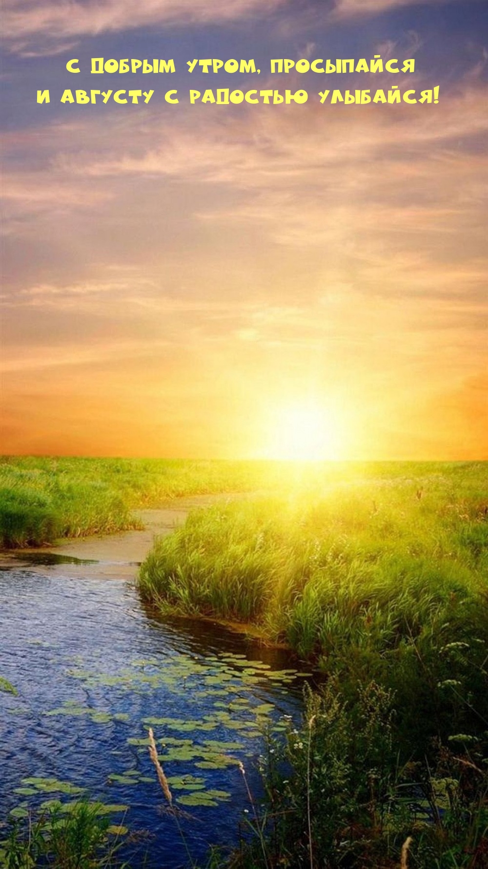 С добрым утром, просыпайся и августу с радостью улыбайся!