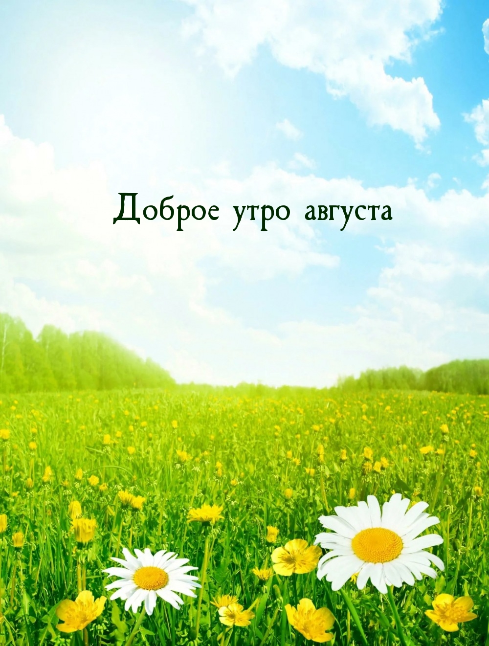 Доброе утро августа