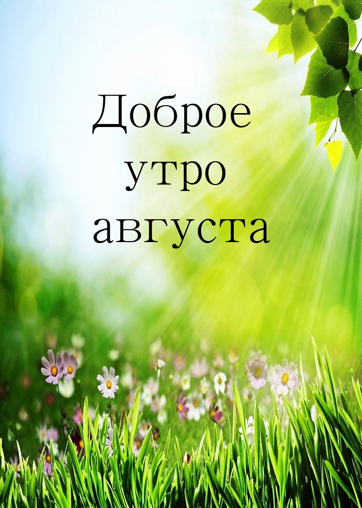 Доброе утро августа!