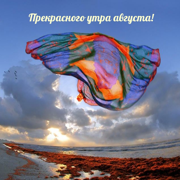 Прекрасного утра августа!