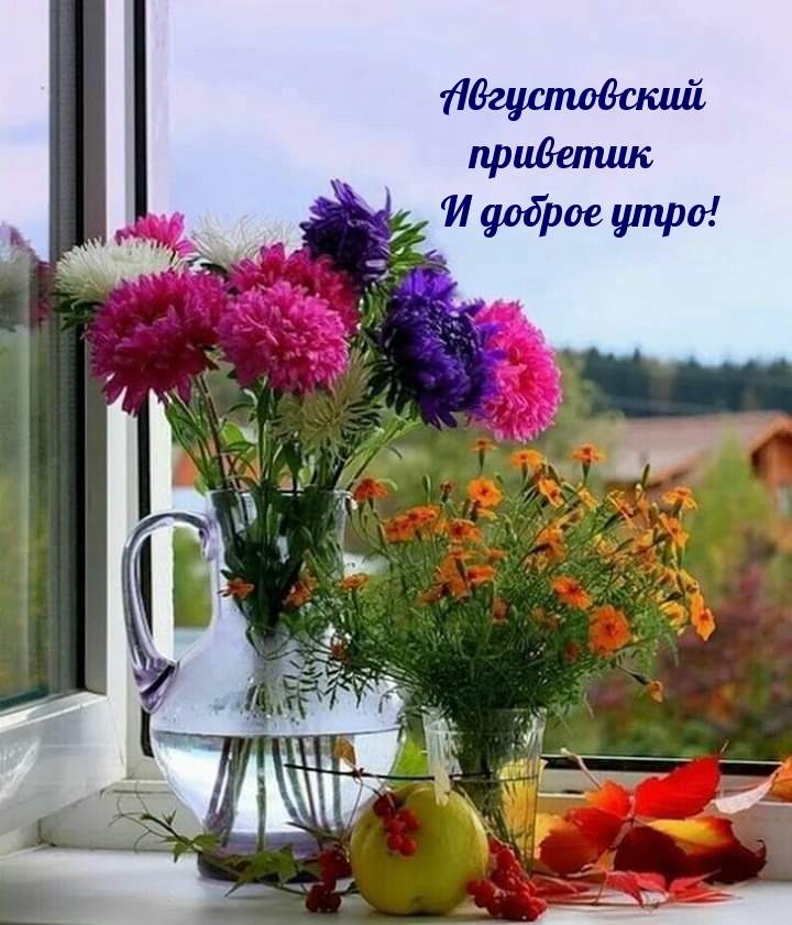 Августовский приветик и доброе утро!