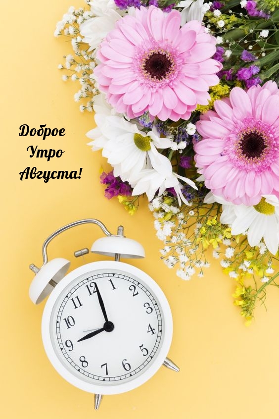 Доброе Утро Августа!