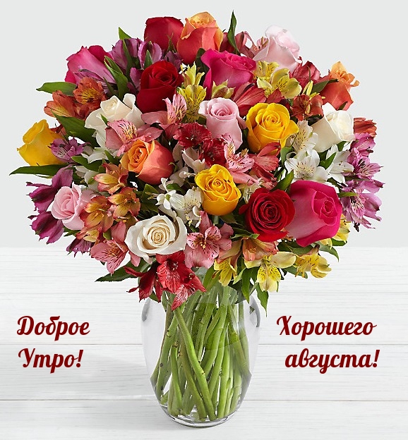 Доброе утро! Хорошего августа!