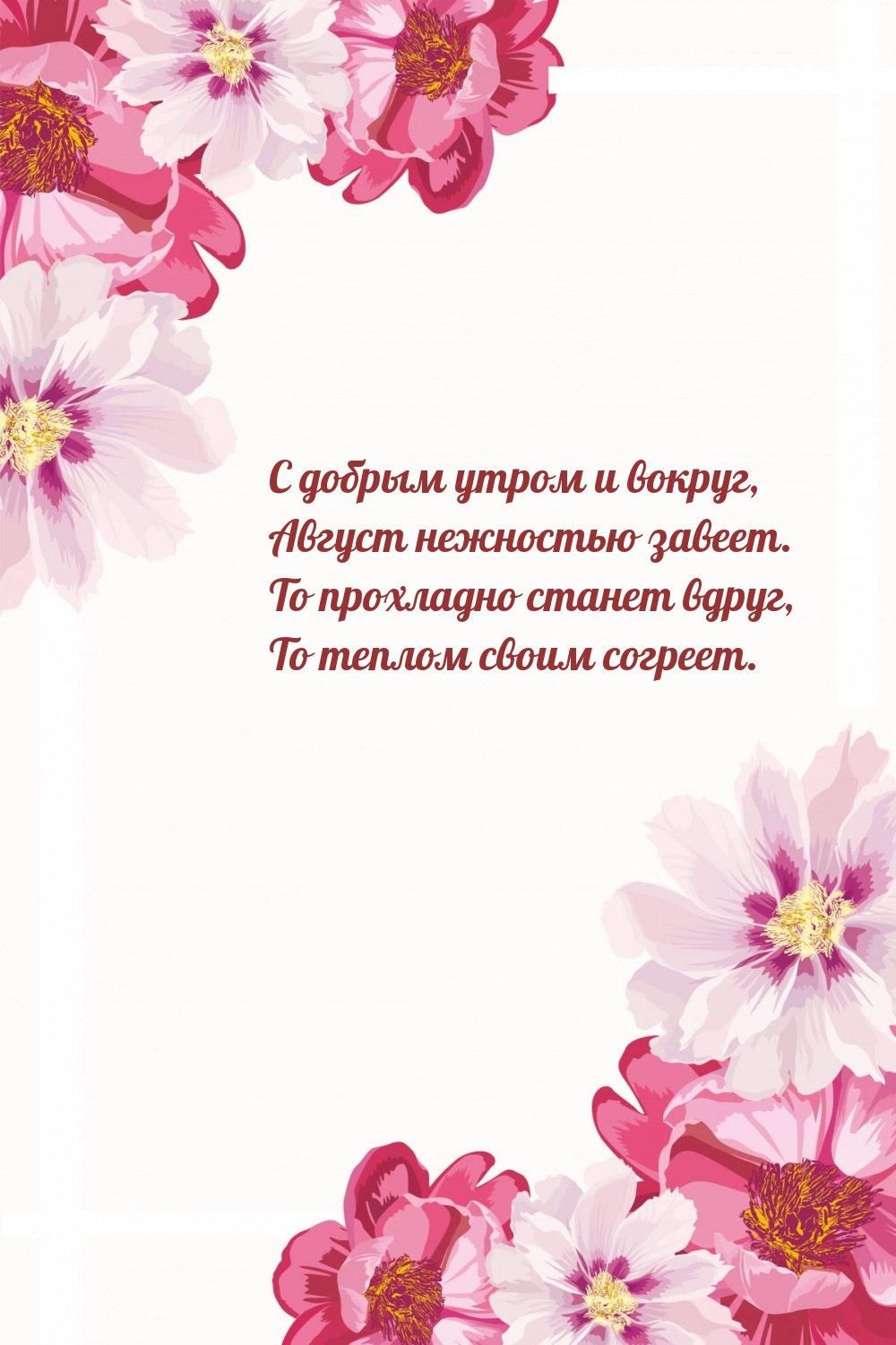 С добрым утром августа!