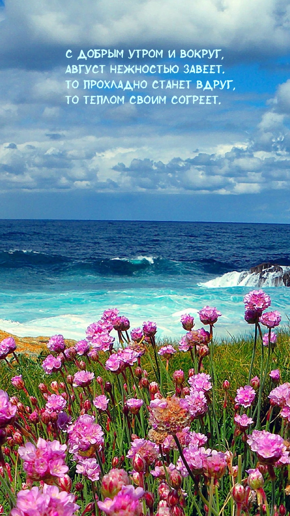 Август нежностью завеет