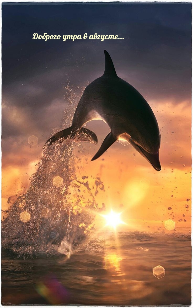 Доброго утра в августе...