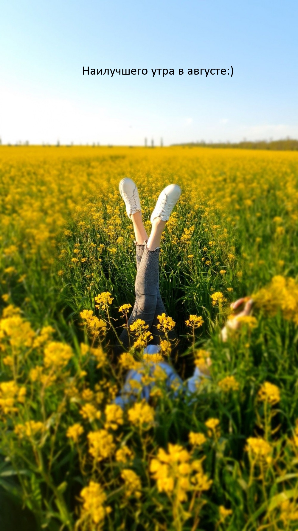 Наилучшего утра в августе:)