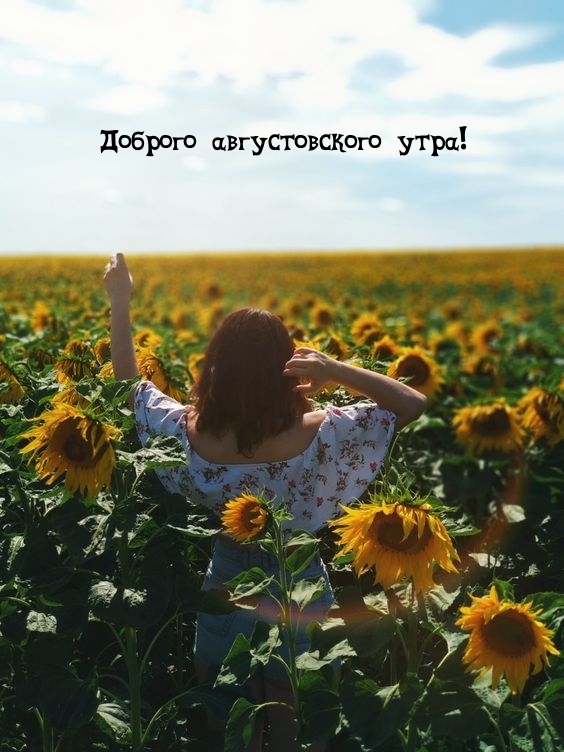 Доброго августовского утра!